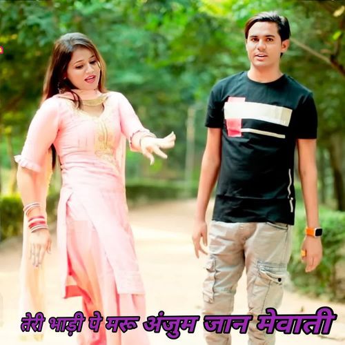 तेरी भाड़ी पे मरू अंजुम जान मेवाती