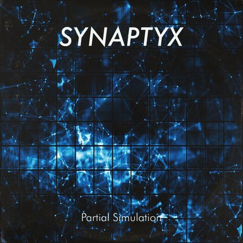 Partial Simulation (Raw) cover art