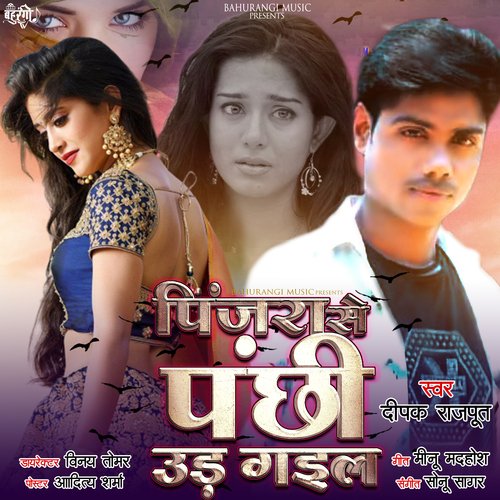 PINJARA SE PANHHI SE PANHI UDH GAIL (Bhojpuri)