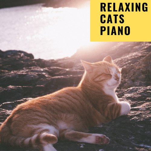 Happy Piano Cats cover art