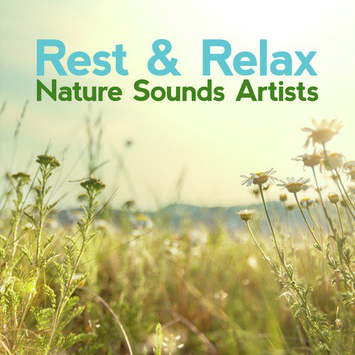 Rest &amp;amp; Relax Nature Sounds Artists
