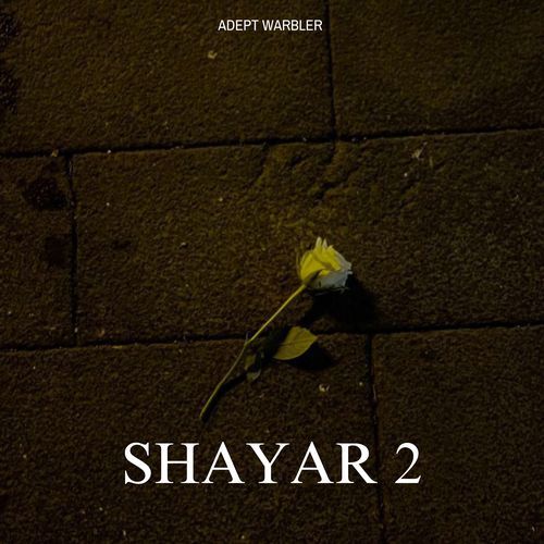 Shayar 2