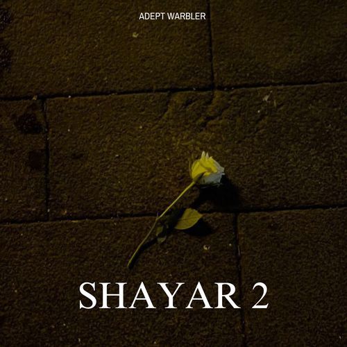 Shayar 2