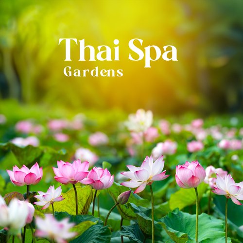 Pure Spa Massage Music cover art