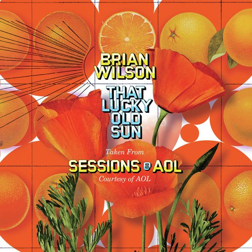 That Lucky Old Sun: AOL Sessions_poster_image