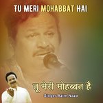 Tu Meri Mohabbat Hai