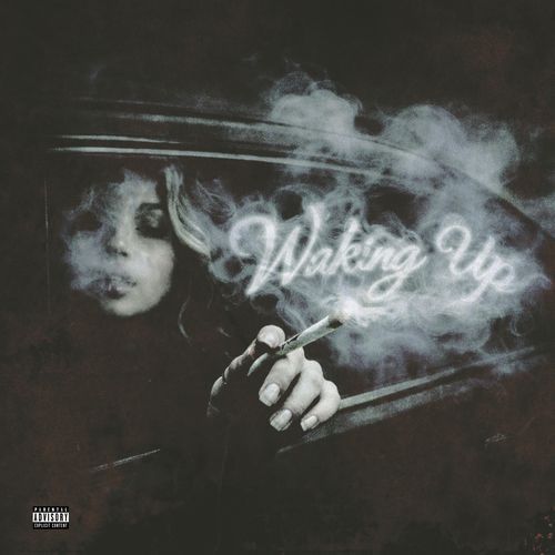 Hicks cover art