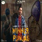 Winner Punjab