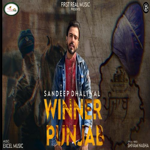 Winner Punjab