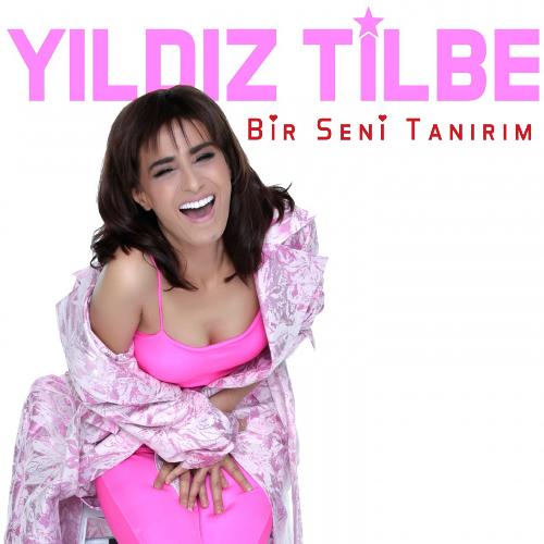 Bir Seni Tanırım_poster_image