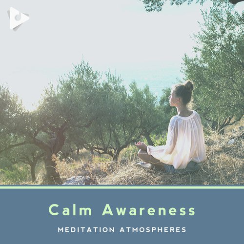 Calm Awareness