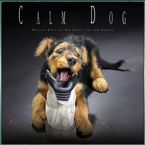 Calm Dog: Relaxing Music for Dog Anxiety and Less Barking