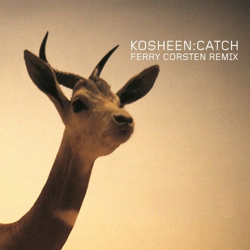 Catch (Ferry Corsten Remix) cover art
