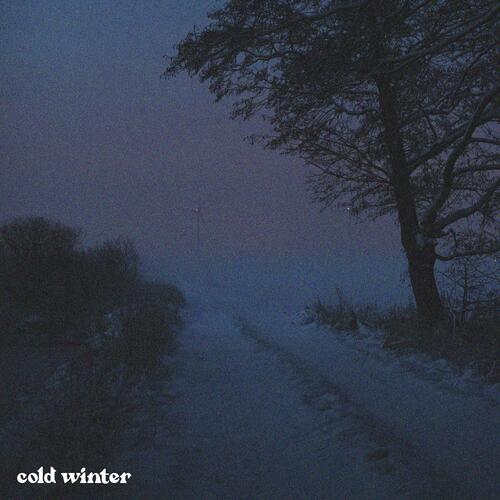 Snowfall cover art
