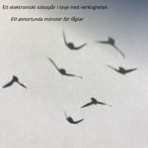 Ett annorlunda mönster för fåglar VIII