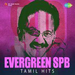 Evergreen SPB - Tamil Hits