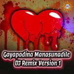 Gayapadina Manasunadile (DJ Remix Version 1)
