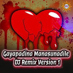 Gayapadina Manasunadile (DJ Remix Version 1)