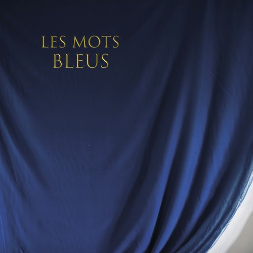 Les mots bleus cover art