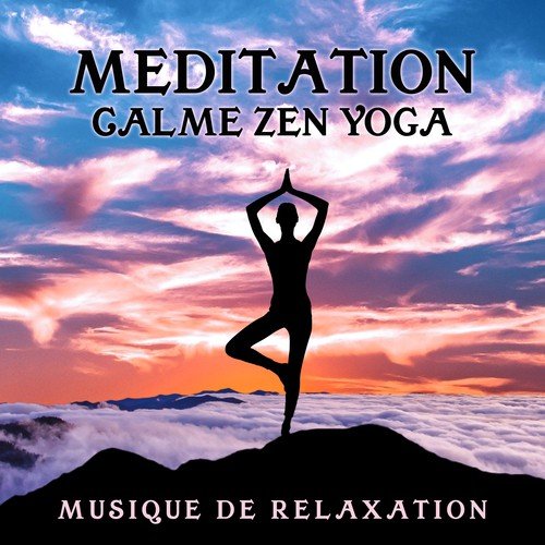 Méditation calme zen yoga (Musique de relaxation, Gestion du stress, Aide au sommeil, L'action positive, Sons de la nature (Oiseaux, Mer, Rivière))_poster_image