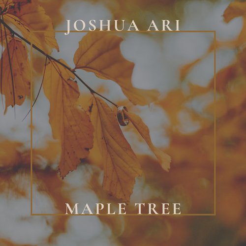 Maple Tree cover art