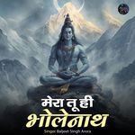 Mera Tu Hi Bholenath