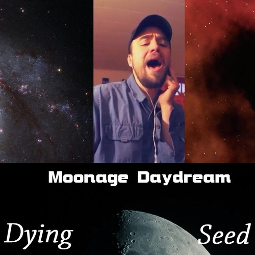 Dying Seed