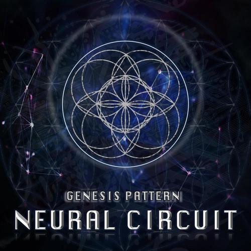 Neural Circuit