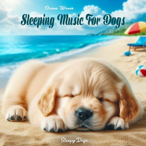 Ocean Waves Sleeping Music For Dogs