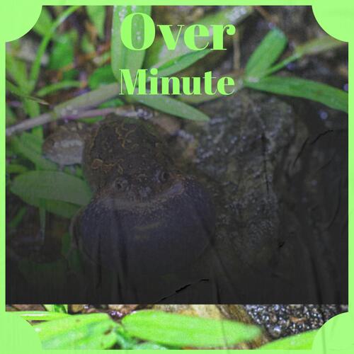 Rest Just cover art