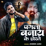 Pagla Banaye Ke Chhorle