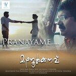 Pranayame (From "Mazhanoolkkanavu")