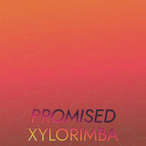 Promised Xylorimba