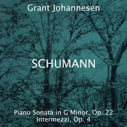 Robert Schumann: Piano Sonata in G Minor, Op. 22 - Intermezzi, Op. 4