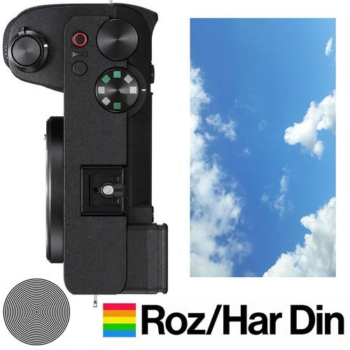 Roz