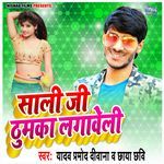 Sali Ji Thumuka Lagaveli