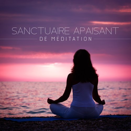 Sanctuaire apaisant de méditation: Musique zen, Sons apaisants pour méditer, Méditation profonde_poster_image