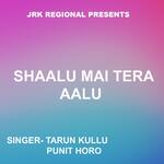 Shaalu Mai Tera Aalu ( Nagpuri Song )