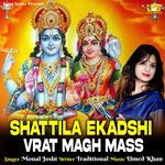 Shattila Ekadshi Vrat Magh Mass artwork