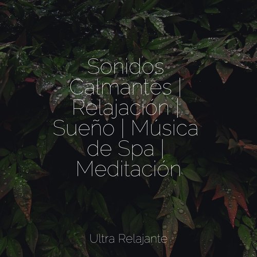 Sonidos Calmantes | Relajación | Sueño | Música de Spa | Meditación_poster_image