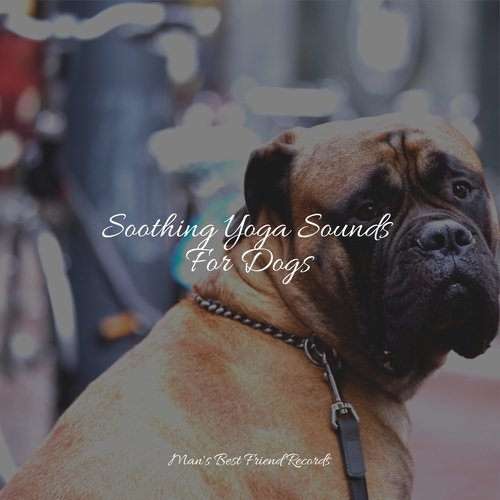 Soothing Yoga Sounds For Dogs