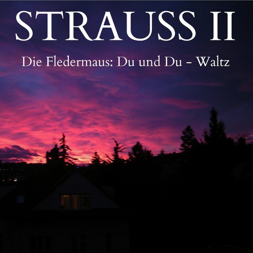 Strauss II - Die Fledermaus: Du und Du, Op. 367 - Waltz_poster_image