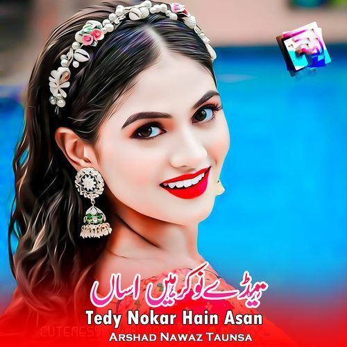 Tedy Nokar Hain Asan