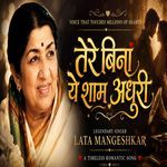 Tere Bina Ye Shaam Adhuri