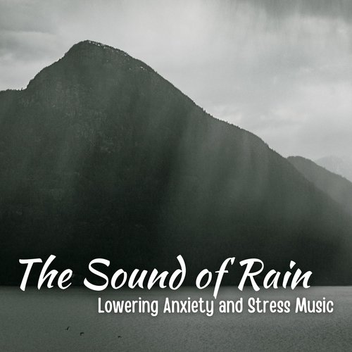 The Sound of Rain: Lowering Anxiety and Stress Music_poster_image