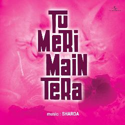 Tu Meri Main Tera