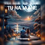 Tu Na Jaane