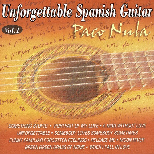 Unforgettable Spanish Guitar 1