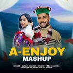 A Enjoy Mashup