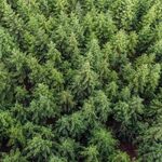 Broadwater Medical Clinic